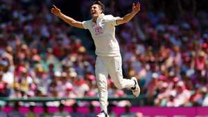 案例分析 案例分析