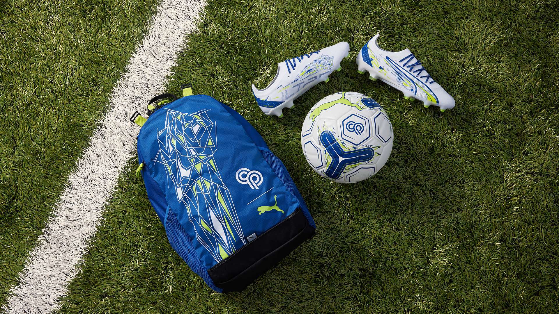 类似的案例 类似的案例